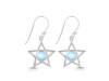 Moonstone Earring RBM-RDE-567.