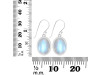 Moonstone Earring RBM-RDE-730.