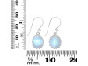 Moonstone Earring RBM-RDE-843.