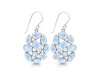 Moonstone Earring RBM-RDE-874.