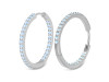 Moonstone Hoop Earring RBM-RDE-971.