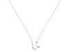 Aquarius Zodiac Star Constellation Moonstone & White Topaz Necklace RBM-RDN-487.
