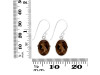 Smoky Earring SMY-RDE-709.