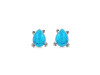 Turquoise Stud Earring TRQ-RDE-1114.