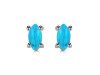 Turquoise Stud Earring TRQ-RDE-1115.