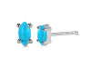 Turquoise Stud Earring TRQ-RDE-1115.