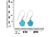 Turquoise Earring TRQ-RDE-1160.