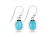 Turquoise Earring TRQ-RDE-683.