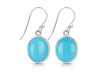 Turquoise Earring TRQ-RDE-727.