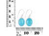 Turquoise Earring TRQ-RDE-730.