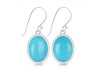 Turquoise Earring TRQ-RDE-730.