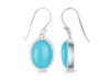 Turquoise Earring TRQ-RDE-730.