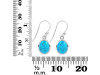 Turquoise Earring TRQ-RDE-829.