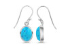 Turquoise Earring TRQ-RDE-829.