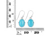 Turquoise Earring TRQ-RDE-830.