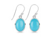 Turquoise Earring TRQ-RDE-830.