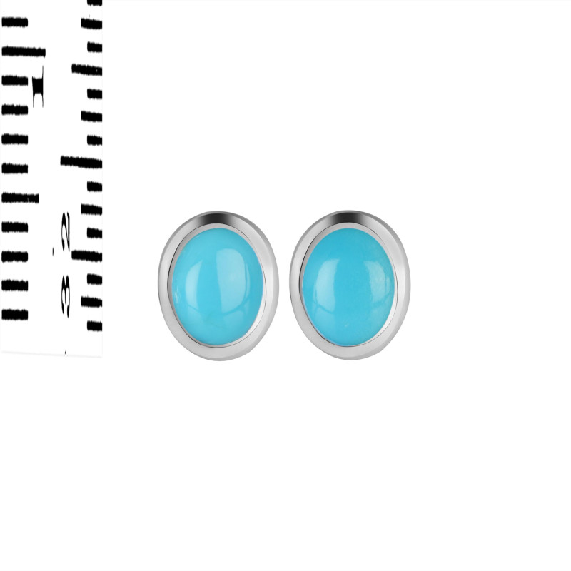 Turquoise Stud Earring TRQ-RDE-1107.