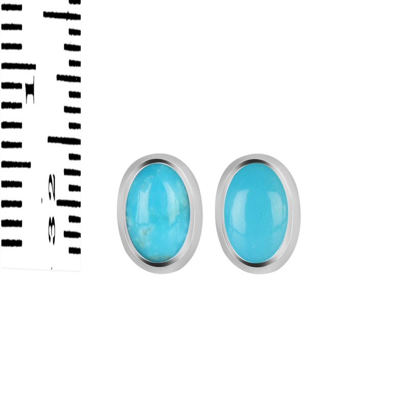Turquoise Stud Earring TRQ-RDE-1108.