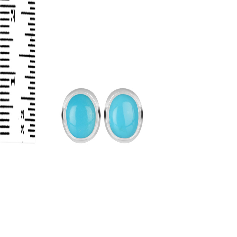 Turquoise Stud Earring TRQ-RDE-1112.