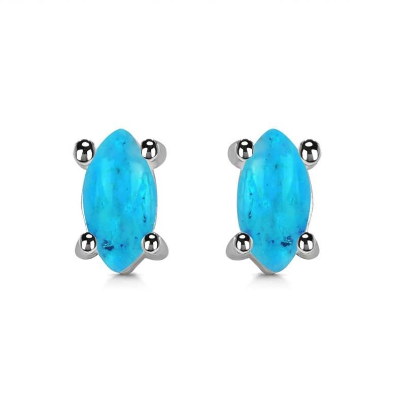 Turquoise Stud Earring TRQ-RDE-1115.