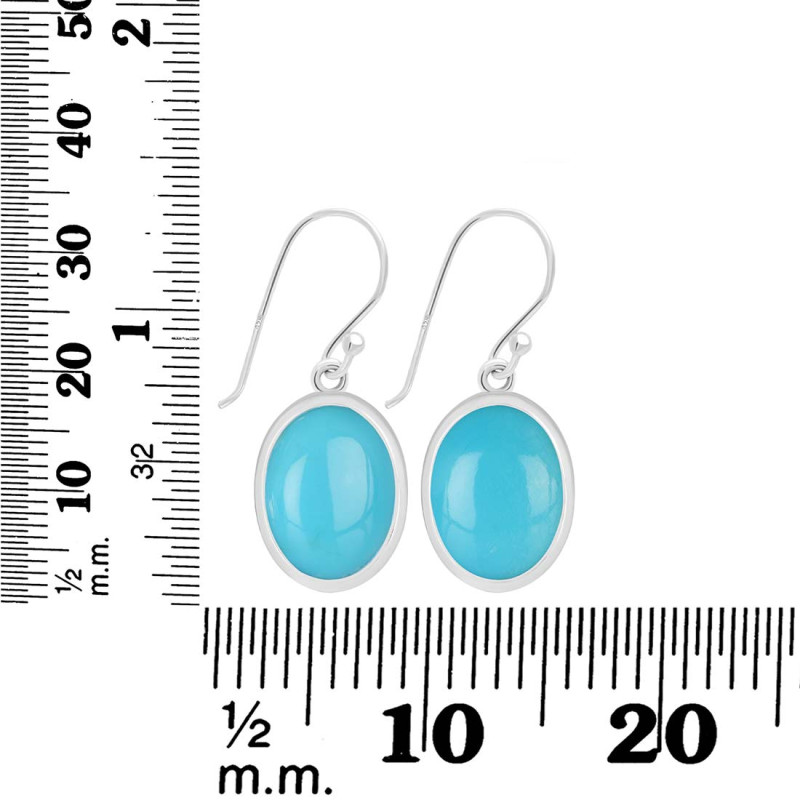 Turquoise Earring TRQ-RDE-730.