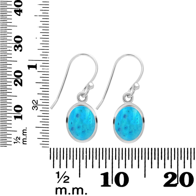 Turquoise Earring TRQ-RDE-829.