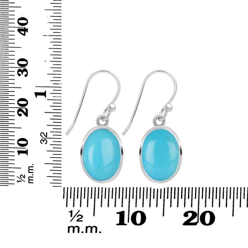Turquoise Earring TRQ-RDE-830.
